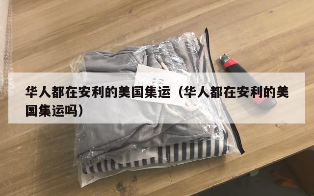 华人都在安利的美国集运（华人都在安利的美国集运吗）