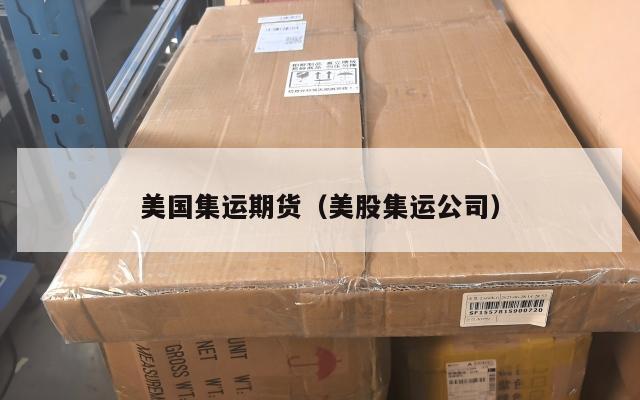 美国集运期货（美股集运公司）