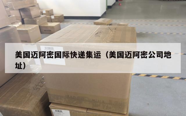 美国迈阿密国际快递集运（美国迈阿密公司地址）