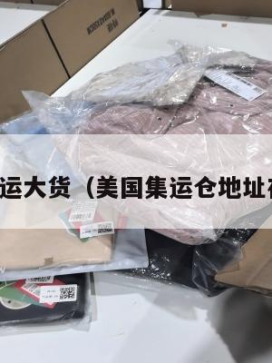 美国集运大货（美国集运仓地址在哪里）