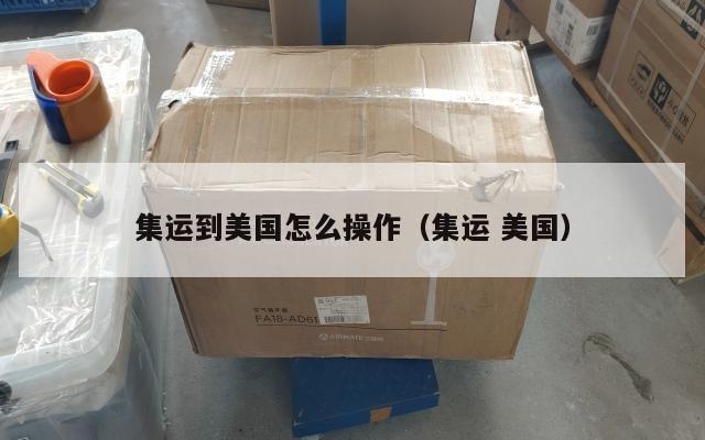 集运到美国怎么操作（集运 美国）