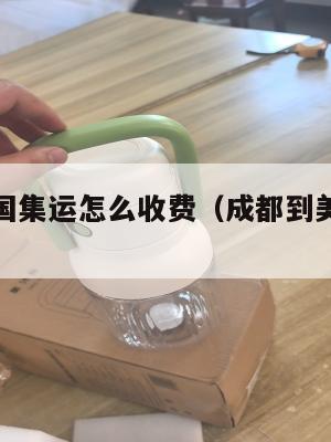 成都到美国集运怎么收费（成都到美国要多久）
