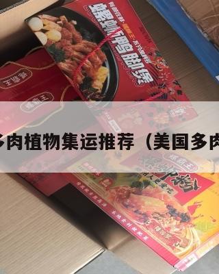 美国多肉植物集运推荐（美国多肉市场）