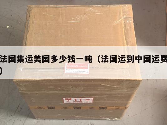 法国集运美国多少钱一吨（法国运到中国运费）