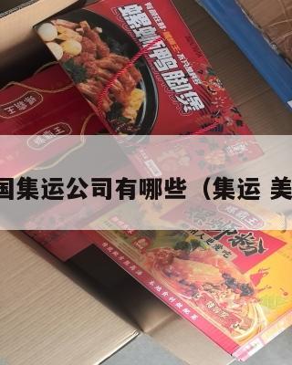美国集运公司有哪些（集运 美国）