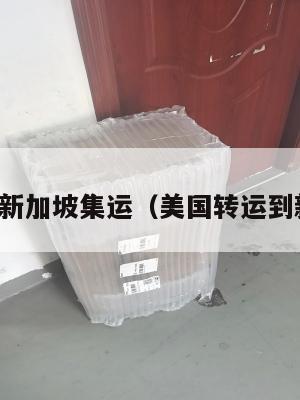 美国到新加坡集运（美国转运到新加坡）