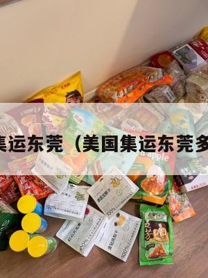 美国集运东莞（美国集运东莞多少钱）