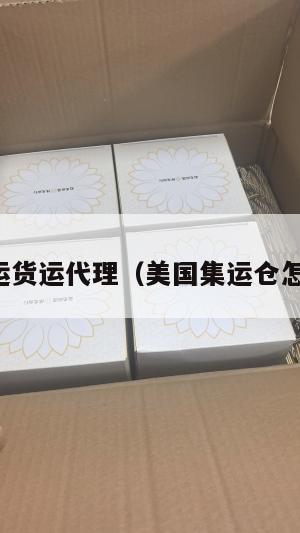 美国集运货运代理（美国集运仓怎么收费）
