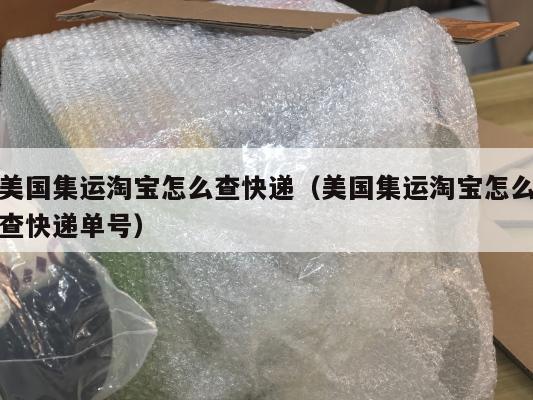 美国集运淘宝怎么查快递（美国集运淘宝怎么查快递单号）
