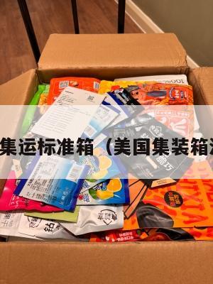 美国集运标准箱（美国集装箱海运）
