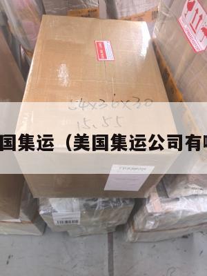 到美国集运（美国集运公司有哪些）