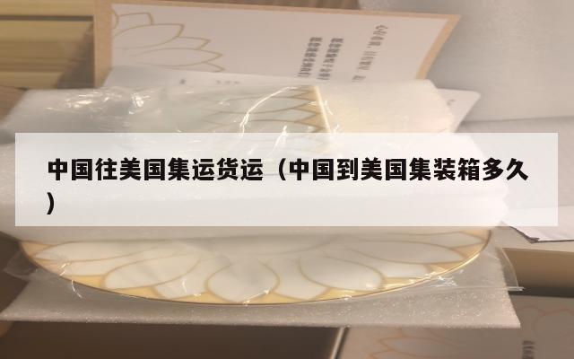 中国往美国集运货运（中国到美国集装箱多久）