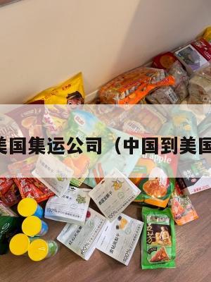 中国到美国集运公司（中国到美国集装箱）
