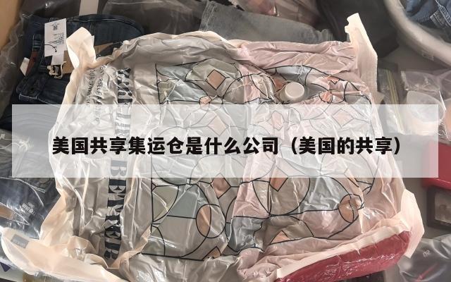 美国共享集运仓是什么公司（美国的共享）