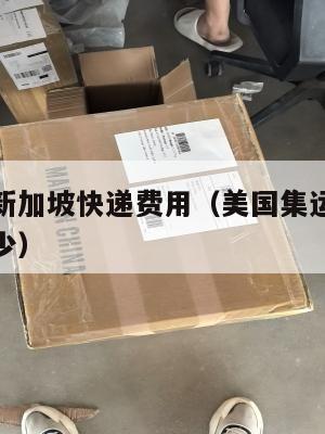 美国集运新加坡快递费用（美国集运新加坡快递费用多少）