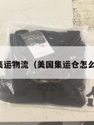 美国集运物流（美国集运仓怎么收费）