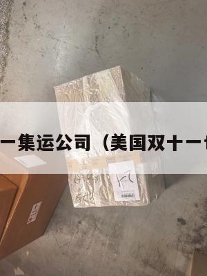 美国双十一集运公司（美国双十一也购物吗）