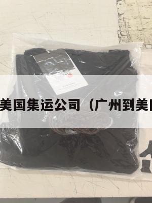 广州到美国集运公司（广州到美国海运）