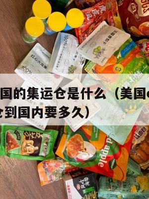 发到美国的集运仓是什么（美国ezimall集运仓到国内要多久）