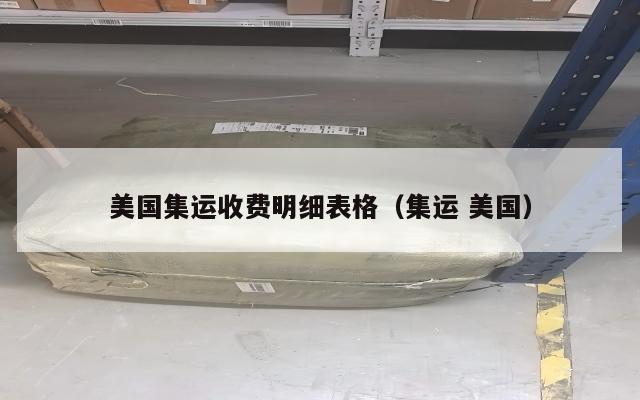 美国集运收费明细表格（集运 美国）