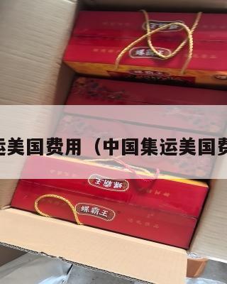 中国集运美国费用（中国集运美国费用多少）