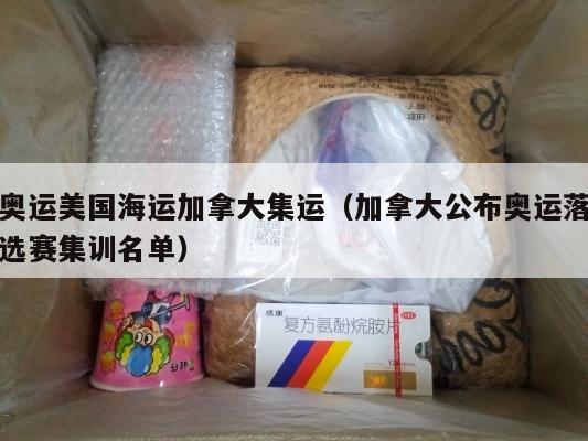 奥运美国海运加拿大集运（加拿大公布奥运落选赛集训名单）