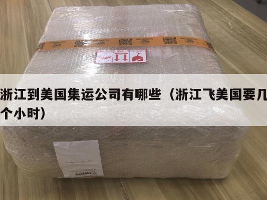 浙江到美国集运公司有哪些（浙江飞美国要几个小时）