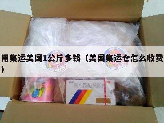 用集运美国1公斤多钱（美国集运仓怎么收费）