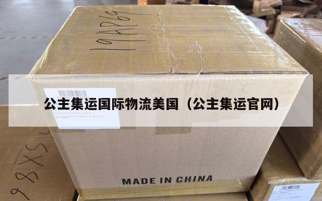 公主集运国际物流美国（公主集运官网）