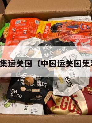 国内集运美国（中国运美国集装箱）