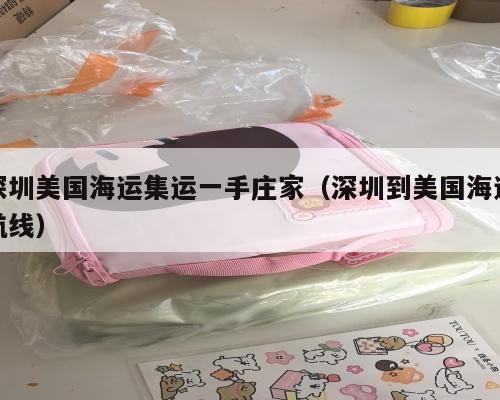 深圳美国海运集运一手庄家（深圳到美国海运航线）