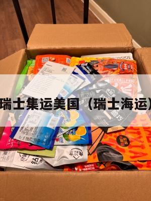 瑞士集运美国（瑞士海运）