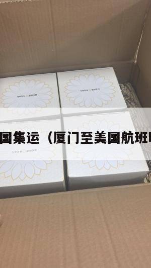 厦门到美国集运（厦门至美国航班时间查询）
