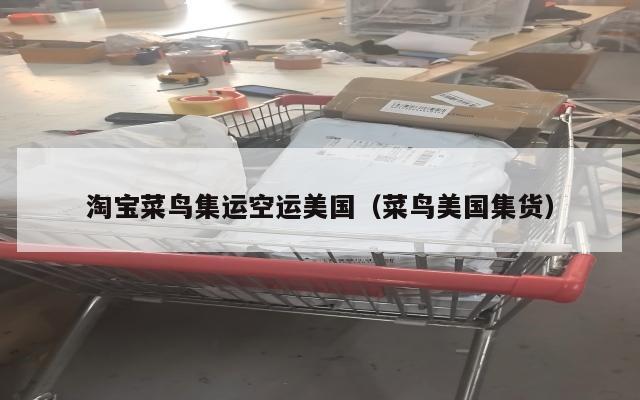 淘宝菜鸟集运空运美国（菜鸟美国集货）