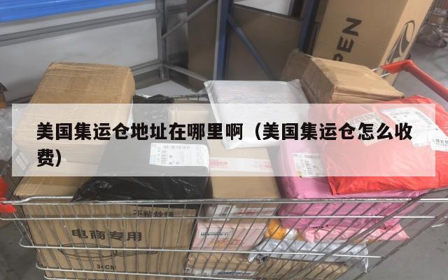 美国集运仓地址在哪里啊（美国集运仓怎么收费）