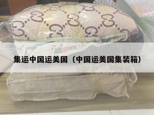 集运中国运美国（中国运美国集装箱）