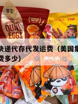 美国集运快递代存代发运费（美国集运快递代存代发运费多少）