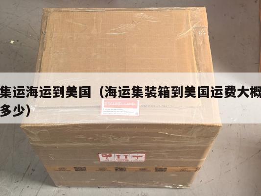 集运海运到美国（海运集装箱到美国运费大概多少）