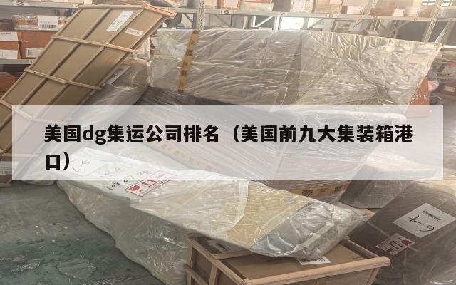 美国dg集运公司排名（美国前九大集装箱港口）