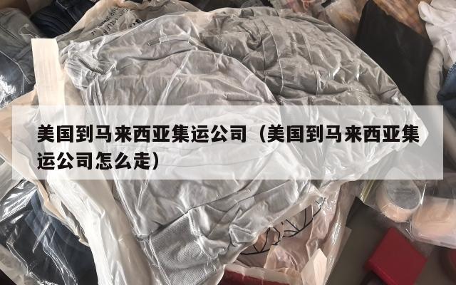 美国到马来西亚集运公司（美国到马来西亚集运公司怎么走）