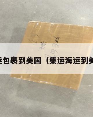 集运包裹到美国（集运海运到美国）