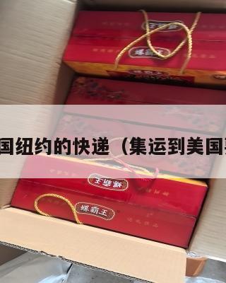 集运美国纽约的快递（集运到美国要多久）