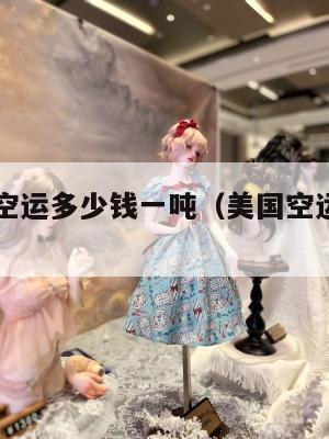 美国集运空运多少钱一吨（美国空运多少钱一公斤）