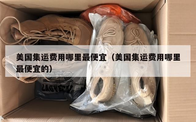 美国集运费用哪里最便宜（美国集运费用哪里最便宜的）
