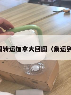 集运美国转运加拿大回国（集运到加拿大）