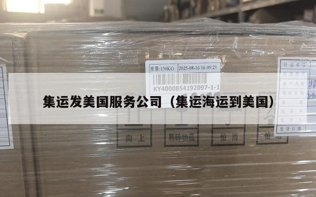 集运发美国服务公司（集运海运到美国）