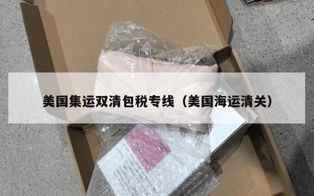 美国集运双清包税专线（美国海运清关）