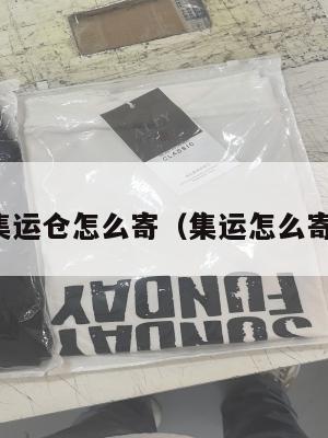 寄美国集运仓怎么寄（集运怎么寄到美国）