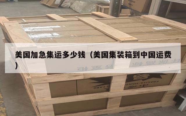 美国加急集运多少钱（美国集装箱到中国运费）