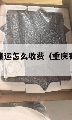 重庆到美国集运怎么收费（重庆寄美国快递价格表）